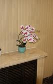 Туры в отель Harbin Jingang Zhixing Boutique Hotel