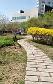 Туры в отель RuJiaHuayi Hotel (Huanghua municipal government)