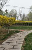 Туры в отель RuJiaHuayi Hotel (Huanghua municipal government)