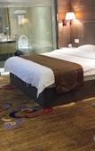 Туры в отель Wanhu business hotel