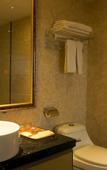 Туры в отель Wanhu business hotel