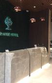 Туры в отель Orange Garden Hotel