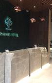 Туры в отель Orange Garden Hotel