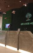 Туры в отель Orange Garden Hotel