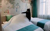 Туры в отель Meet hotel