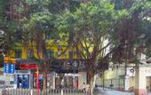 Туры в отель Xiaowu Hotel (Yide Road Metro Station)