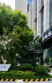 Туры в отель Pilot Hotel (Hangzhou United Center)