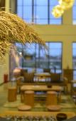 Туры в отель Vanfeel Hotel(Dongguan Machong Huayang Lake Branch)