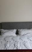 Туры в отель City 118 select hotels ( Jimo clothing city store )