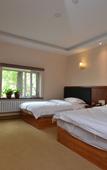 Туры в отель Yiju Hotel (Haerbin Xuefu Road Branch)