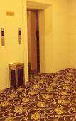Туры в отель Thai Lady Hotel (Shenzhen Ailian Branch)
