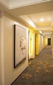 Туры в отель Junyi Hotel (Shouxian Ancient City Wall)