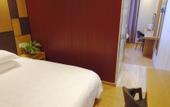 Туры в отель Aisen Collection Hotel (Shanghai Jiuting Subway Station)