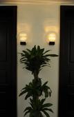 Туры в отель Jasmine Hotel (Jinhua Municipal Government)