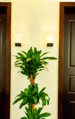Туры в отель Jasmine Hotel (Jinhua Municipal Government)