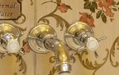 Туры в отель Limak Thermal Boutique Hotel