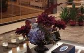 Туры в отель Langting Hotel