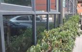 Туры в отель Langting Hotel