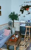 Туры в отель Shandouji youth hostel
