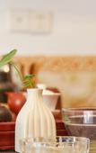 Туры в отель Shandouji youth hostel