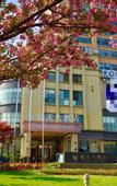 Туры в отель Jintian Hotel (Qionglai Dingsheng Times Plaza)