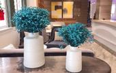 Туры в отель Beverly Boutique Hotel (Julonghu Oufenghua Street Shop)