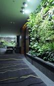 Туры в отель PEBBLE MOTEL (Fuzhou Minhou No.1 High School Branch)
