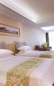 Туры в отель Vienna 3 Best Hotel (Hangzhou Qianjiang Shijicheng)