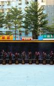 Туры в отель Jiaruicheng Art Hotel (Dalang)