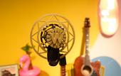 Туры в отель Enjoy Youth Hostel (Wuhan Liangdao Street)