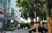 Туры в отель Jinlan Holiday Hotel (Gangdu Middle School )