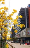 Туры в отель Foshan Leshui Mansion (Leliu Port West Road Branch)