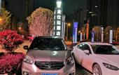 Туры в отель Star hotel (Wuhan Jiangcheng Avenue International Expo Center store)