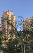 Туры в отель Fuxin Inn (Zhuhai Baitengtou )