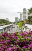 Туры в отель LangFeng Fengyuan Hotel