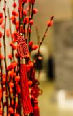 Туры в отель LangFeng Fengyuan Hotel