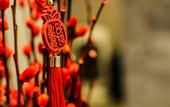 Туры в отель LangFeng Fengyuan Hotel