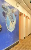 Туры в отель Pudding hotel (Jinger Road branch of Jinan provincial hospital)