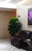 Туры в отель Qishun Elite Hotel (Dongguan Hengli Station)