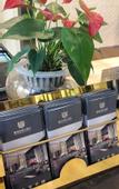 Туры в отель Veguard Baigang Hotel