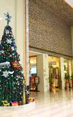 Туры в отель Veguard Baigang Hotel