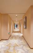 Туры в отель Nanjing Gaoshengge Hotel (International Expo Center Shenglong Huijin)