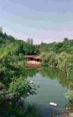 Туры в отель Kaibo Fashion Hotel (Xuzhou High-speed Railway Station)