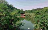 Туры в отель Kaibo Fashion Hotel (Xuzhou High-speed Railway Station)