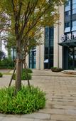 Туры в отель Puyue Hotel