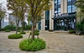 Туры в отель Puyue Hotel