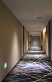 Туры в отель Liuyue Hotel (Wuhan HCL Conservatory)