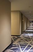 Туры в отель Liuyue Hotel (Wuhan HCL Conservatory)