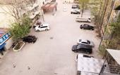 Туры в отель Trip.com Chain Hotel (Zhengzhou Zoo Guomao 360 Branch)