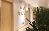 Туры в отель Trip.com Chain Hotel (Zhengzhou Zoo Guomao 360 Branch)
